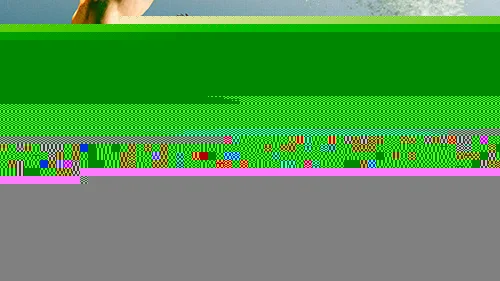 Além dos Tatames A História Emocionante de E. Honda no Mundo de Street Fighter