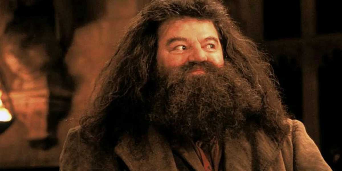 Conheça a Fascinante Vida de Rúbeo Hagrid em Harry Potter
