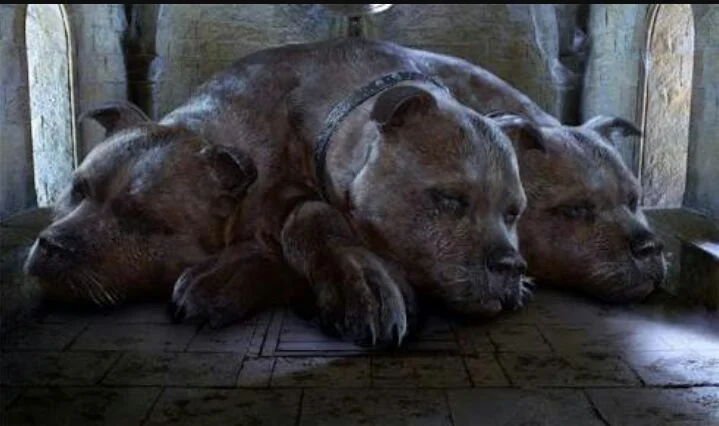 Fofo: O Fiel Amigo de Hagrid em Harry Potter e a Pedra Filosofal