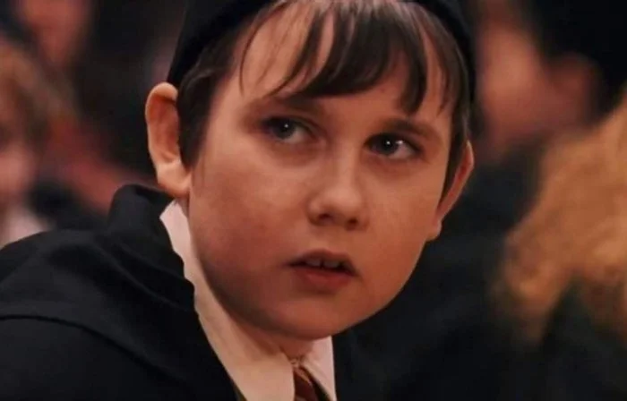 Neville Longbottom: Além da Aparência, a Verdadeira Coragem